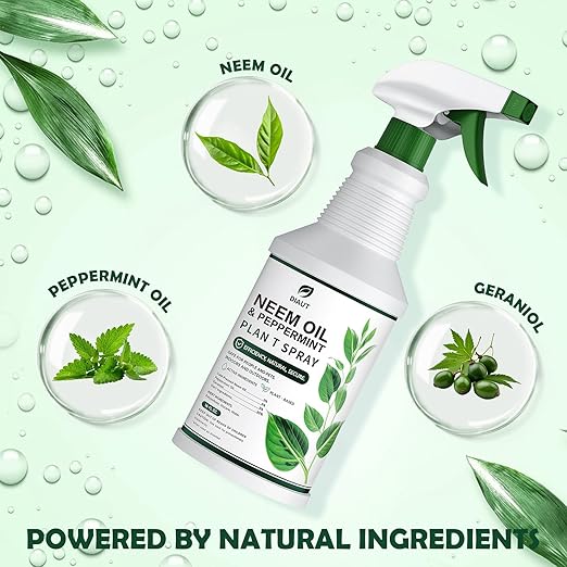Neem Oil Spray for Plants with Peppermint Oil, Easy Ready to Use Natural Plant Wash and Foliage Care for Indoor and Outdoor Plants, Gardens, Houseplants & Vegetables, 16 oz