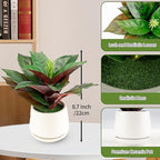 Realistic Artificial Potted Desk Plant Faux Calathea in Ceramic Pot, 8.7" Small Faux Greenery Fake Prayer Plant for Desk, Bathroom, Office, or Home Decor (Evergreen, Maintenance Free)