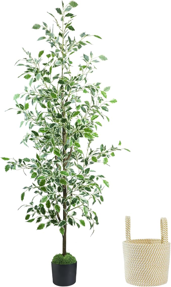 Caxchiling Fake Ficus Tree 6FT,Artificial Floor Plants for Indoor Outdoor, Lifelike Potted Tree with Moss Topper and Cotton Basket, Home Office Living Room Bedroom Doorway Decor (White-Edged Leaves)