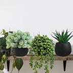 Winlyn Set of 3 Artificial Succulent Plants in Black Concrete Pots Faux Aloe Hops String of Pearls Potted Plants Small Fake Plants Desk Plants for Home Office Desk Kitchen Bathroom Shelf Windowsill