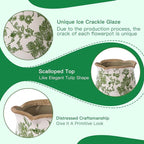 Ceramic-Planters-for-Indoor-Plants with Saucer, 6 inch Vintage Ice Crack Glaze Plant Pots with Drainage Holes, Decorative Flower Pots for Outdoor Garden Home Decor, Tuscan Pot for Plant