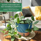 montresor 2 Pack 8 inch Plant Pots, PP Plastic Self Watering Plant Pot with Drainage and Tray for Indoor Outdoor Plants, Water Level Window & Reservoir Flower Pots Decorative Planter (Blue)