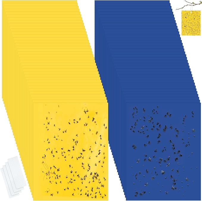 Qualirey 100 Pcs 6 x 8 Inch Sticky Traps for Plant Double Sided Sticky Trap for Gnats with Twist Ties Fly Traps for Fruit Insect Fungus Bugs Indoor Outdoor (Yellow,Blue)