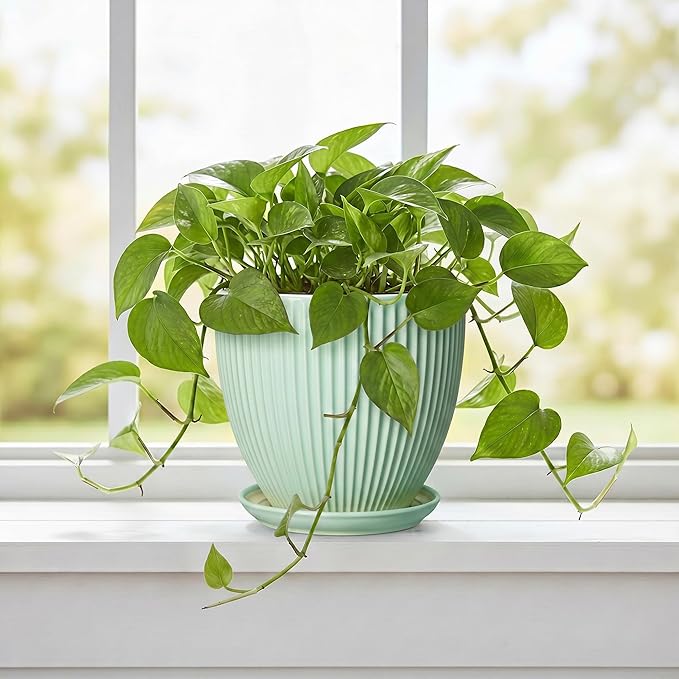 Ceramic Pots for Indoor Plants, 6 Inch Plant Pot with Drainage Hole and Saucer, Round Modern Planters, Decorative Pots for Plants, Home Living Room Decor, Gifts for Plant Lovers, Mint Green