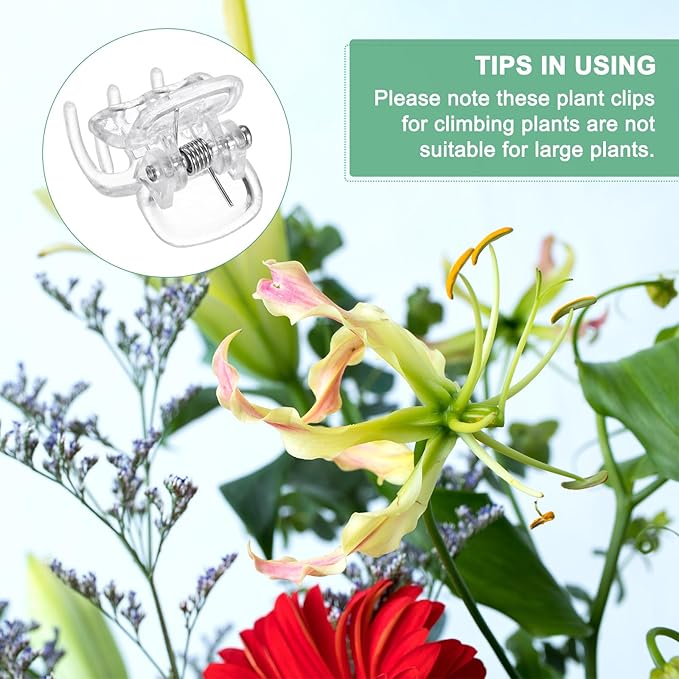 M METERXITY 100-Pack Orchid Clips, Plastic Garden Plant Clips, 6 Claws Orchid Clips, Garden Plant Support Clip for Supporting Stems/Vines/Stalk Grow Upright [Transparent]