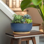 Bonsai Pots - 8 Inch Ceramic Pots for Succulent Plants & Bonsai Tree, Planter with Drainage Hole and Saucer, Modern Round Decorative Flower Planters, House Decor, Gifts for Women Man, Blue