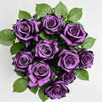 Rare Roses Seeds, 500 Pcs, Sunset Colored Blooming Plants for Garden Flower Beds, Borders & Cut Flowers, Prolific Outdoor Rose Seeds Thriving in Full Sun & Well-Draining Soil (Purple)