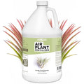Air Plant Fertilizer - Liquid Plant Food for All Tillandsia Air Plants, Use As Foliar Spray or for Soaking, 1 Gallon