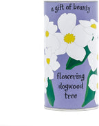 Pacific Dogwood | Tree Seed Grow Kit | The Jonsteen Company