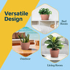 Pink 6-Inch Plant Pots with Drainage & Saucers 3 Pack, Indoor & Outdoor Planters for Houseplants, Herbs, and Flowers, Durable & Weatherproof Material, Stackable, Lightweight, Minimalist Design