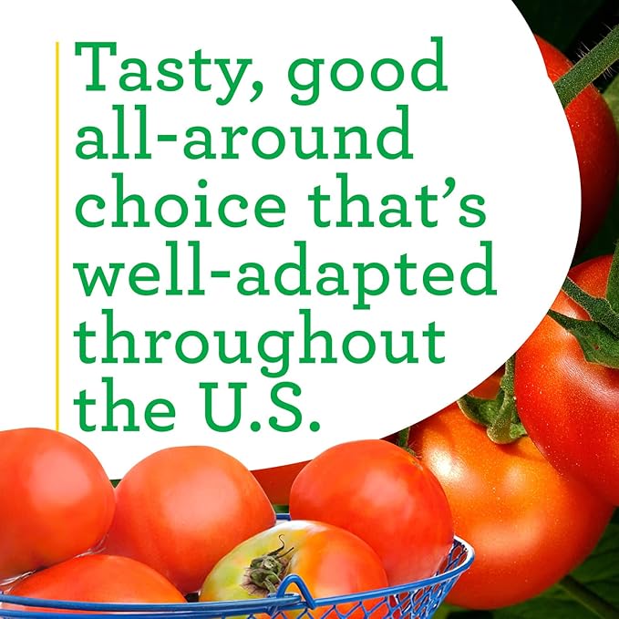 Bonnie Plants Celebrity Hybrid Tomato Live Vegetable Plants - 4 Pack, Disease-Resistant, 7 - 8 Oz. Fruit Size, 65 Day Harvest Time