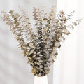 Tavkite 16 Pcs Dried Eucalyptus Stems, 17'' Natural Fresh Eucalyptus Leaves Branches Hanging for Shower, Preserved Real Plant Live for Home SPA Wall Bathroom Wedding Party Vase Decor