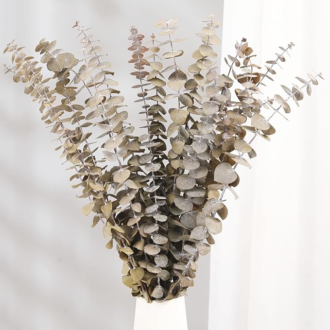 Tavkite 16 Pcs Dried Eucalyptus Stems, 17'' Natural Fresh Eucalyptus Leaves Branches Hanging for Shower, Preserved Real Plant Live for Home SPA Wall Bathroom Wedding Party Vase Decor