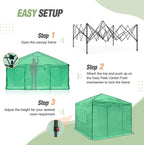 EAGLE PEAK 10x10 Portable Walk in Greenhouse, Pop Up Indoor Outdoor Greenhouse, Green House Kit with Zippered Roll-Up Doors and Windows, PE Cover, Clear/Green