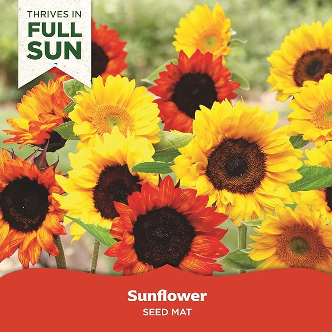 BloomingBulb Seed Mat - Easy to Plant and Grow Garden Seeds - Creates Fragrant, Vibrant Flower Garden (Sunflower Garden)