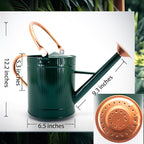 1 Gallon Watering Can, Plant Wate Can, Metal Watering Can with Removable Spout, Galvanized Watering jug, Nice Green Water Can for Indoor and Outdoor use