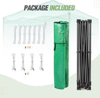 EAGLE PEAK 10x10 Portable Walk in Greenhouse, Pop Up Indoor Outdoor Greenhouse, Green House Kit with Zippered Roll-Up Doors and Windows, PE Cover, Clear/Green