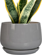 G EPGardening Modern Ceramic Planter - 7 Inch Round Modern Plant Pot Indoor with Drainage and Ceramic Tray Indoor Outdoor for Flower, Vanity Decor, Birthday Gifts, Grey