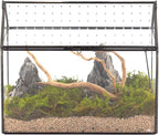 NCYP Glass Terrarium with Acrylic Lid, 10.2x5.9x8.2 Inches House Shape Glass Terrarium for Snails, Indoor Tabletop Decor, Handmade (Plants Not Included)