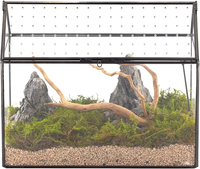 NCYP Glass Terrarium with Acrylic Lid, 10.2x5.9x8.2 Inches House Shape Glass Terrarium for Snails, Indoor Tabletop Decor, Handmade (Plants Not Included)