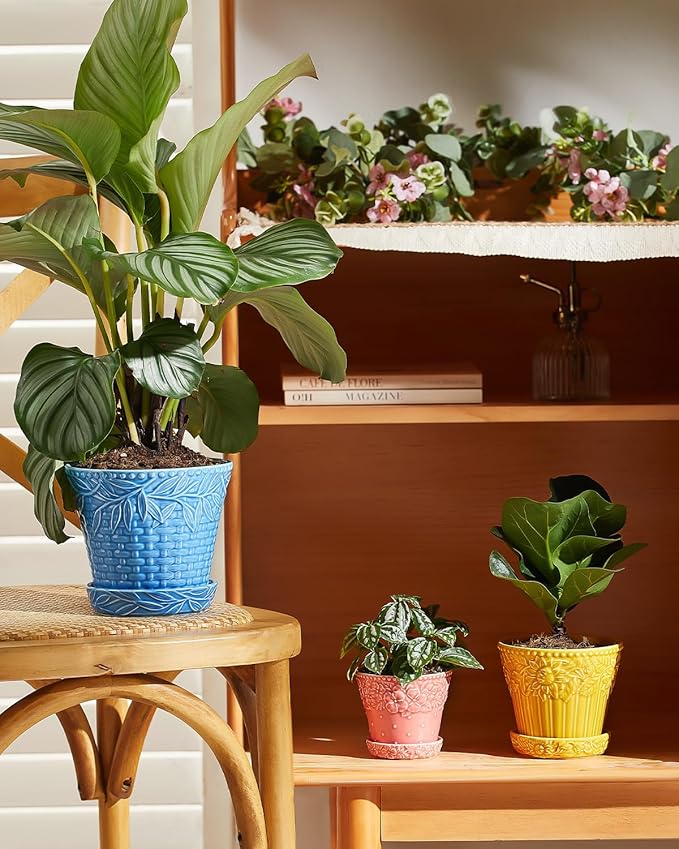 Metahom Succulent Ceramic Pots, 3.8 Inch Small Plant Pots with Drainage Hole & Saucer, Flower Planter Pot for House Plants Cacti, Home Decor, Set of 4, Assorted Colors