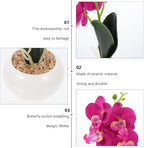 FRCOLOR Artificial Phalaenopsis Bonsai Set 2pcs with White-Green and Purple Butterfly Orchid Flowers, Realistic Simulation Craft for Home Office Living Room Décor