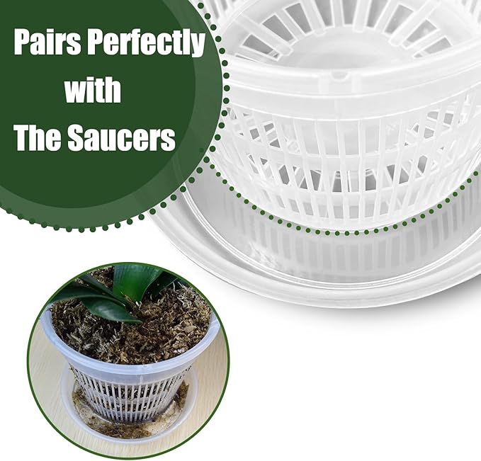 Orchid Pot,12 Pack 5.5Inch Clear Plastic Orchid Pots with Saucers, Orchid Pots with Holes, Orchid Breathable Slotted Pot(12Pcs 5.5in+ Saucers)