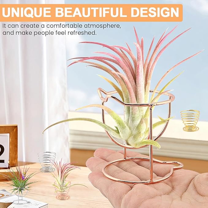 Air plant holders unique, 6pcs/pack Geometric Metal Plants Stand Airplant Container Tillandsia Holder Planter Shelves Airplants Rack Tabletop Decor for Plant Lovers(cat + spring shape)