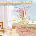 Kakalote 6pcs/pack Air Plant Holders, Geometric Metal Plants Stand Planter Shelves, Airplant Container Tillandsia Holder, Airplants Rack Tabletop Decor for Plant Lovers(cat + spring shape)