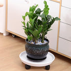 Planterhoma 4 Packs Heavy-Duty Plastic Plant Caddy with Wheels - 11.8" Rolling Plant Stand - Strong Load Bearing - 360 Rotated Wheels - Indoor/Outdoor Use