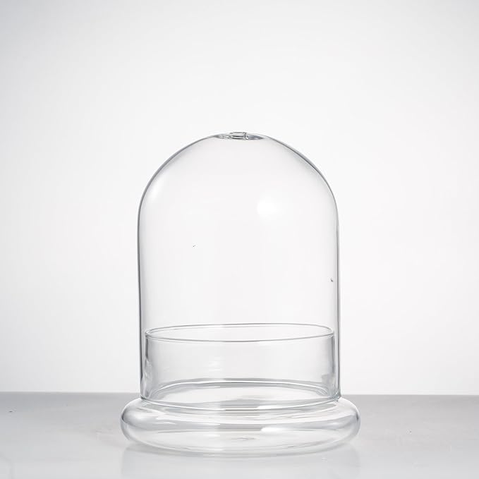 NCYP Small Clear Decorative Glass Terrarium Cloche with Air Hole - 4.7 x 4.7 x 6.3 Inches Glass Dome with Base for Miniature Plants - Display Storage (No Plants Included)