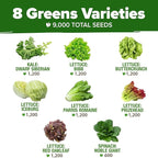 HOME GROWN Lettuce Seeds for Planting - 8 Varieties Non-GMO Heirloom Salad Greens Seeds - 9000+ USA-Sourced Vegetable Seeds for Planting Outdoors, Indoors, Hydroponic Garden