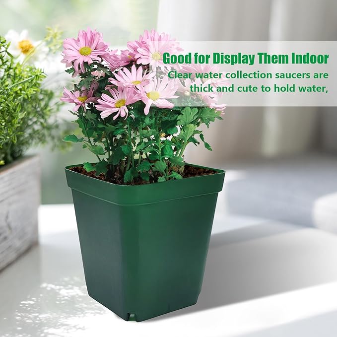 RooTrimmer Square Seedling Nursery Pots 3.15 Inches 100 Pcs for Small Succulents or Cacti Flower Plastic Pots Sturdy Reusable (Green, 3.14Inches,100Pcs)
