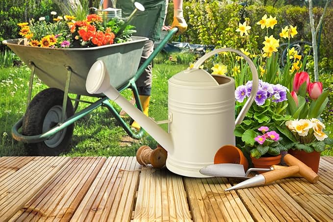 Plastic Watering Can for Indoor Plants Outdoor Garden Flowers - House Plant Watering Can with Sprinkler Head (1/2 Gallon, White)
