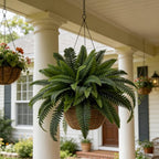 Senjie Artificial Boston Fern 4 Set Large 55 Branches Fake Ferns for Outdoors 34Inch Faux Plant for Home Living Room Office Decor