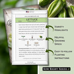 Sow Right Seeds - Giant Caesar Lettuce Seeds for Planting - Non-GMO Open Pollinated Heirloom Packet with Instructions to Grow Lettuce from Seed Indoors or Outdoors - Great Hydroponic Variety (2)