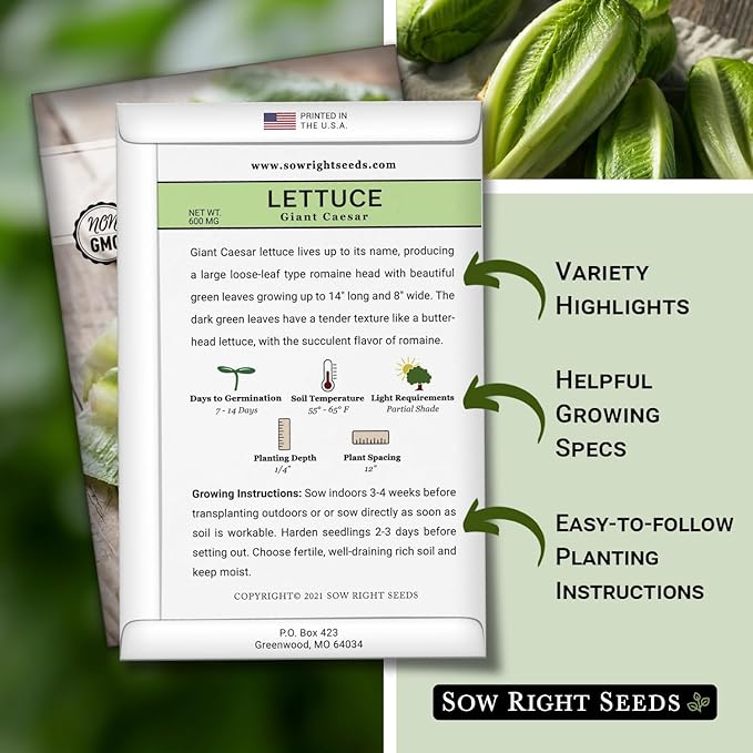 Sow Right Seeds - Giant Caesar Lettuce Seeds for Planting - Non-GMO Open Pollinated Heirloom Packet with Instructions to Grow Lettuce from Seed Indoors or Outdoors - Great Hydroponic Variety (2)