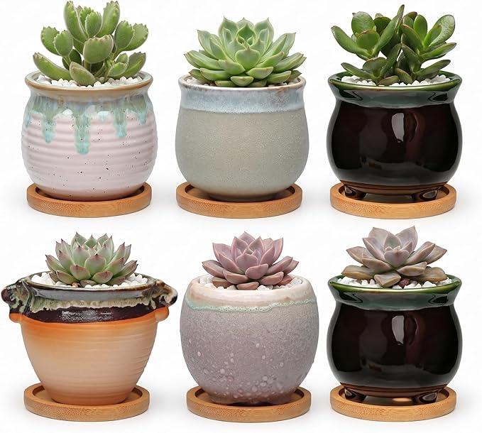 3.5 Inch Succulent Pot with Drainage,Planting/Flower Pots,Small Planter for Mini Plant Ceramic Flowing Glaze Base Serial Set with Holes