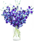 eflowerwholesale - Premium Cut Purple Orchids (Support Small Business) (Blue, 10 Stems with Vase)