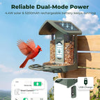 Kiwibit Solar Smart Bird Feeder with Camera, AI Bird Species Identification, 8MP Photos, 4K UHD Video Live Stream Wild Bird House Feeders for Outdoors, Bird Watching Gifts for Bird Lovers, Green