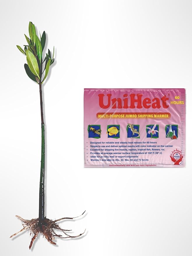 Generic AquaGardens | Red Mangrove - Live Plant (Small + Heat Pack for Cold Weather Shipping), Green