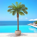 6FT Artificial Coconut Palm, Faux Coconut Silk Palm Tree, Tropical Fake Trees for Indoor Outdoor, Large Sago Palm Plant for Home Office Garden Patio Poolside, 1 Pack