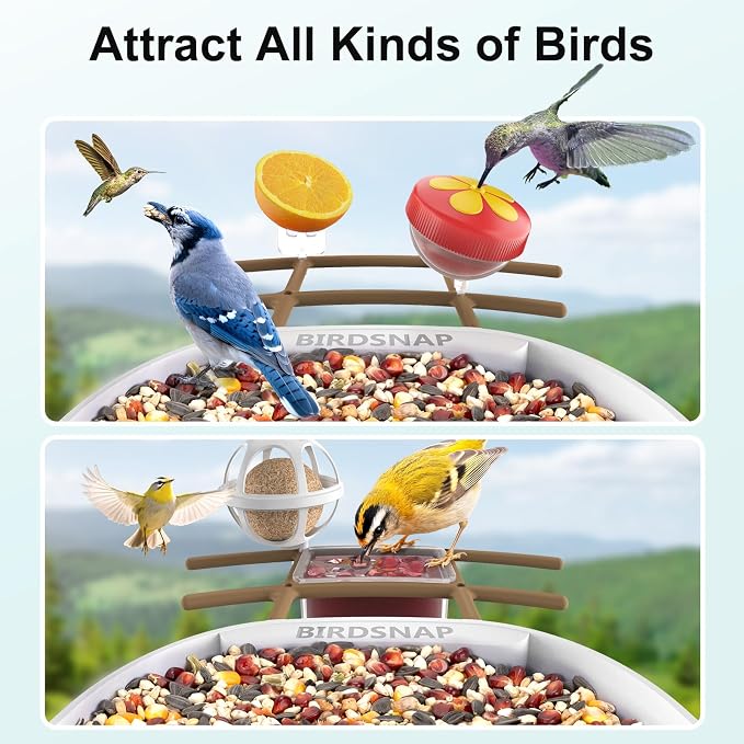 birdsnap® PAV-Bird Feeder with Camera,2K HD with 64GB Card, AI Identify Smart Bird House Cam Solar Panel,Live Stream,Motion Detection,Auto Record Video for Backyard Outdoors,Ideal Gift for Bird Lover