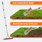 62" Adjustable Thatch Rake - 19-Tine Lawn Dethatcher with Nickel Steel Tines, Heavy Duty Ergonomic Handle for Spring Lawn Care, Soil Aeration & Yard Cleanup&Turf Renovation (Silver)