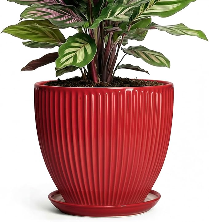 Ceramic Planter, 6 Inch Plant Pot Indoor with Drainage Hole and Saucer, Small Pots for Plants, Modern Succulent Flower Pot, Round Planter, House Garden Decor, Plant Gifts for Women Men, Red