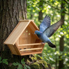 2 Pack Cedar Mourning Dove Nesting Box, Oltara Wooden Dove Pigeon Bird House for Outdoors