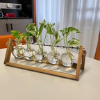 Kingbuy Plant Propagation Station with 5 Bulb Vases Retro Wooden Stand Desktop Glass Planter Terrarium for Hydroponics Plants Home Office Décor