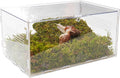 Snail Terrarium Kit with Climbing Accessories11.22 L x 7.87" W x 6" H Clear Small Animal House for Snails, Caterpillars& Small Critters – Includes 7" Climbing Wall and Substrate