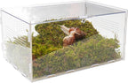 Snail Terrarium Kit with Climbing Accessories11.22 L x 7.87" W x 6" H Clear Small Animal House for Snails, Caterpillars& Small Critters – Includes 7" Climbing Wall and Substrate