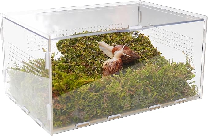 Snail Terrarium Kit with Climbing Accessories11.22 L x 7.87" W x 6" H Clear Small Animal House for Snails, Caterpillars& Small Critters – Includes 7" Climbing Wall and Substrate